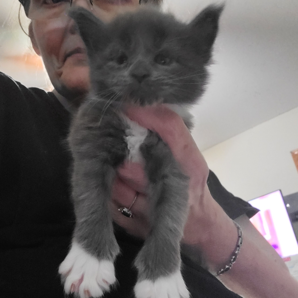 Meet your Posher, Michelle